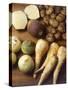 Winter Vegetables-null-Stretched Canvas