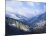 Winter View of Sugarlands Valley, Great Smoky Mountains National Park, Tennessee, USA-Adam Jones-Mounted Photographic Print