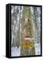 Winter View of Vallombrosa-Guido Cozzi-Framed Stretched Canvas