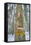 Winter View of Vallombrosa-Guido Cozzi-Framed Stretched Canvas