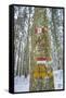 Winter View of Vallombrosa-Guido Cozzi-Framed Stretched Canvas