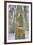 Winter View of Vallombrosa-Guido Cozzi-Framed Premium Photographic Print