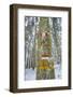 Winter View of Vallombrosa-Guido Cozzi-Framed Photographic Print