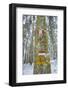 Winter View of Vallombrosa-Guido Cozzi-Framed Photographic Print