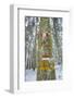 Winter View of Vallombrosa-Guido Cozzi-Framed Photographic Print