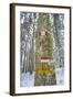 Winter View of Vallombrosa-Guido Cozzi-Framed Photographic Print