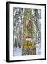 Winter View of Vallombrosa-Guido Cozzi-Framed Photographic Print