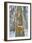 Winter View of Vallombrosa-Guido Cozzi-Framed Photographic Print