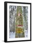 Winter View of Vallombrosa-Guido Cozzi-Framed Photographic Print