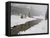 Winter Views Around Lake Louise, Alberta, Canada-Cindy Miller Hopkins-Framed Stretched Canvas