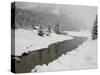 Winter Views Around Lake Louise, Alberta, Canada-Cindy Miller Hopkins-Stretched Canvas