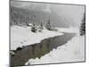 Winter Views Around Lake Louise, Alberta, Canada-Cindy Miller Hopkins-Mounted Photographic Print