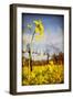 Winter Vines-Jessica Rogers-Framed Premium Giclee Print