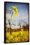 Winter Vines-Jessica Rogers-Framed Stretched Canvas