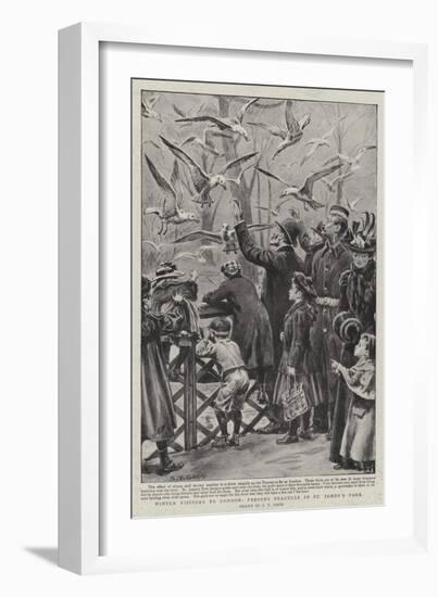 Winter Visitors to London, Feeding Seagulls in St James's Park-S.t. Dadd-Framed Giclee Print