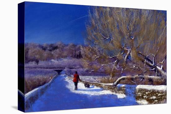 Winter Walk, 2012-Anthony Rule-Stretched Canvas