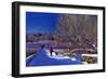 Winter Walk, 2012-Anthony Rule-Framed Giclee Print