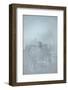 Winter Walk II-Doug Chinnery-Framed Photographic Print