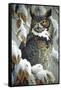 Winter Watch - Great Horned Owl-Wilhelm Goebel-Framed Stretched Canvas