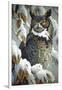 Winter Watch - Great Horned Owl-Wilhelm Goebel-Framed Giclee Print