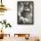 Winter Watch - Great Horned Owl-Wilhelm Goebel-Framed Giclee Print displayed on a wall