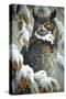 Winter Watch - Great Horned Owl-Wilhelm Goebel-Stretched Canvas