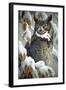 Winter Watch - Great Horned Owl-Wilhelm Goebel-Framed Giclee Print