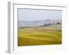 Winter Wheat Crop Growing Late Autumn-Terry Eggers-Framed Photographic Print