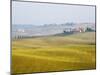 Winter Wheat Crop Growing Late Autumn-Terry Eggers-Mounted Photographic Print