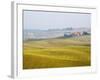 Winter Wheat Crop Growing Late Autumn-Terry Eggers-Framed Photographic Print