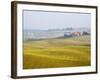 Winter Wheat Crop Growing Late Autumn-Terry Eggers-Framed Photographic Print