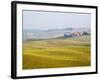 Winter Wheat Crop Growing Late Autumn-Terry Eggers-Framed Photographic Print