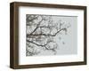 Winter Whimsy-Erin Clark-Framed Art Print