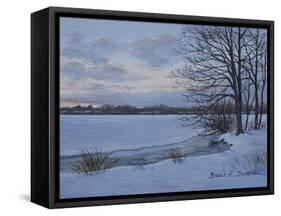 Winter Whisper-Bruce Dumas-Framed Stretched Canvas