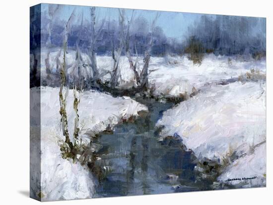 Winter White-Barbara Chenault-Stretched Canvas