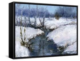 Winter White-Barbara Chenault-Framed Stretched Canvas