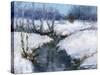 Winter White-Barbara Chenault-Stretched Canvas