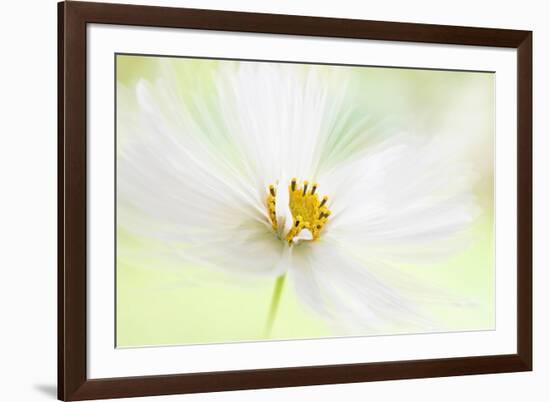 Winter White-Jacky Parker-Framed Giclee Print