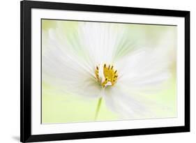 Winter White-Jacky Parker-Framed Giclee Print