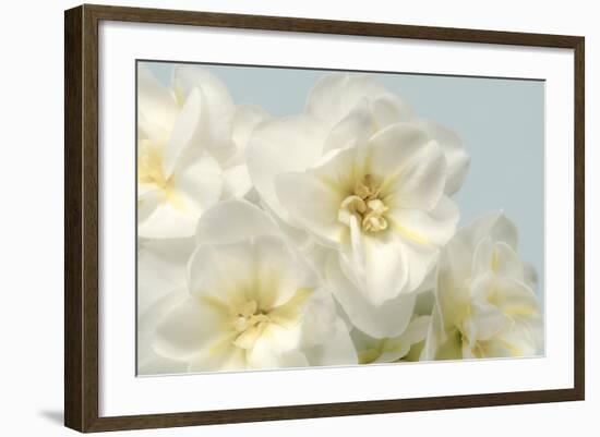 Winter Whites-Julie Greenwood-Framed Art Print