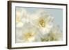 Winter Whites-Julie Greenwood-Framed Art Print