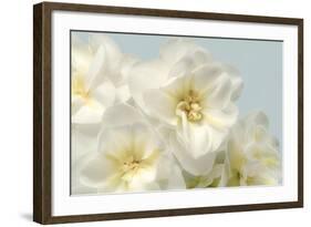 Winter Whites-Julie Greenwood-Framed Art Print