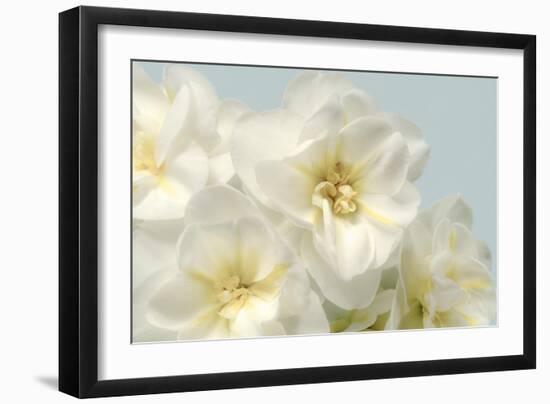 Winter Whites-Julie Greenwood-Framed Art Print