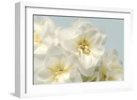 Winter Whites-Julie Greenwood-Framed Art Print