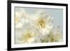 Winter Whites-Julie Greenwood-Framed Premium Giclee Print