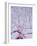 Winter Whites-Neela Pushparaj-Framed Giclee Print