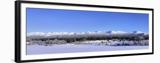 Winter Wilderness-Brenda Petrella Photography LLC-Framed Giclee Print