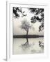 Winter Willow-Nicholas Bell-Framed Photographic Print