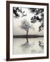 Winter Willow-Nicholas Bell-Framed Photographic Print