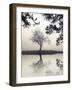 Winter Willow-Nicholas Bell-Framed Photographic Print